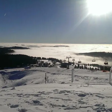 Bergkristall Apartment Feldberg (Baden-Wurttemberg)