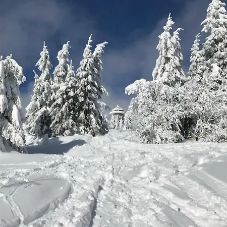 Bergkristall Feldberg (Baden-Wurttemberg)