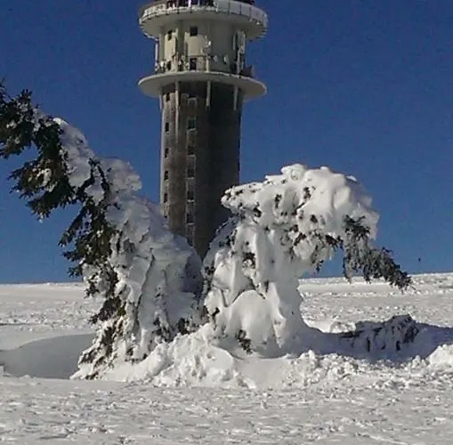 Bergkristall * Feldberg (Baden-Wurttemberg)
